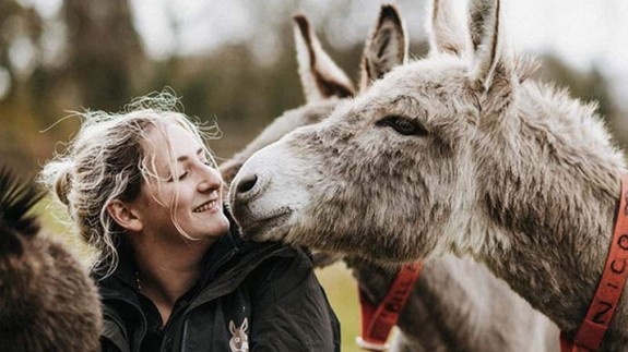 An image of two donkeys resting their noses against the face of a smiling lady.