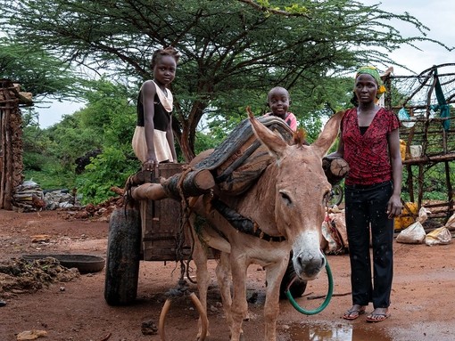 An image of a donkey pulling a cart with the female owner stood to their right and two children stood on the cart.